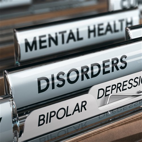 Bipolarni poremećaj ličnosti (F31)